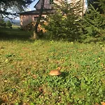Tatil Evi K Zastavce 557